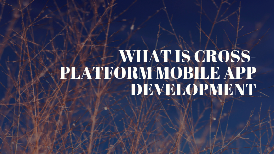 What Is Cross-Platform Mobile App Development