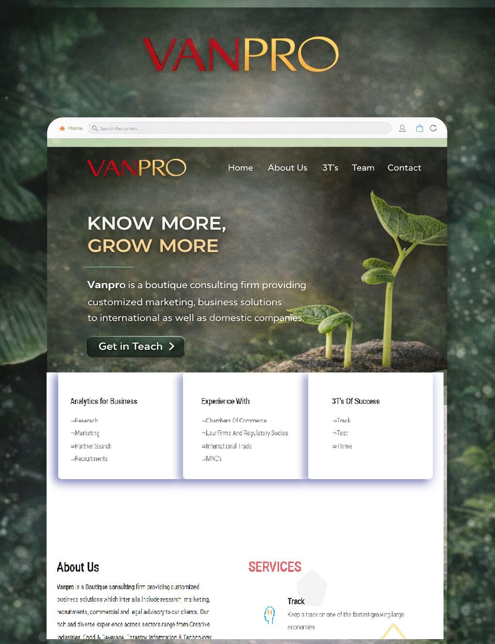 Vanpro website design and storefront screenshot