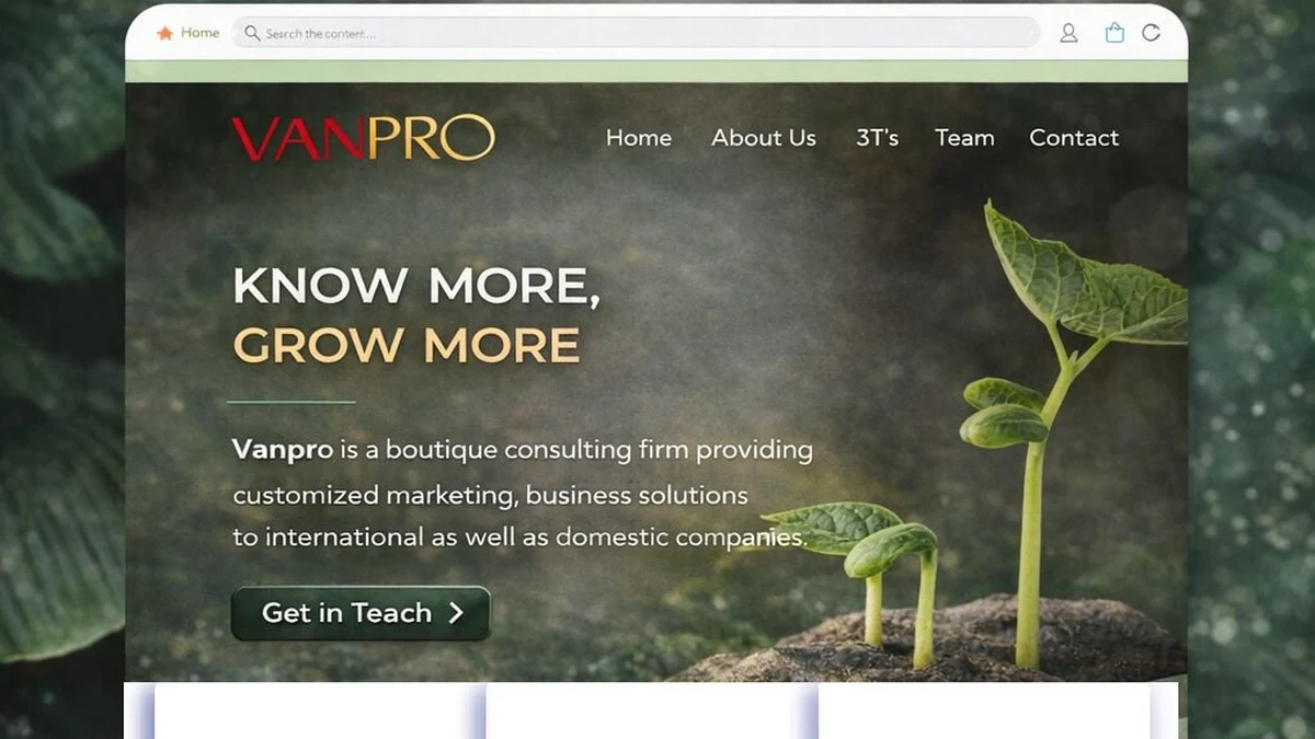 Vanpro digital and web project