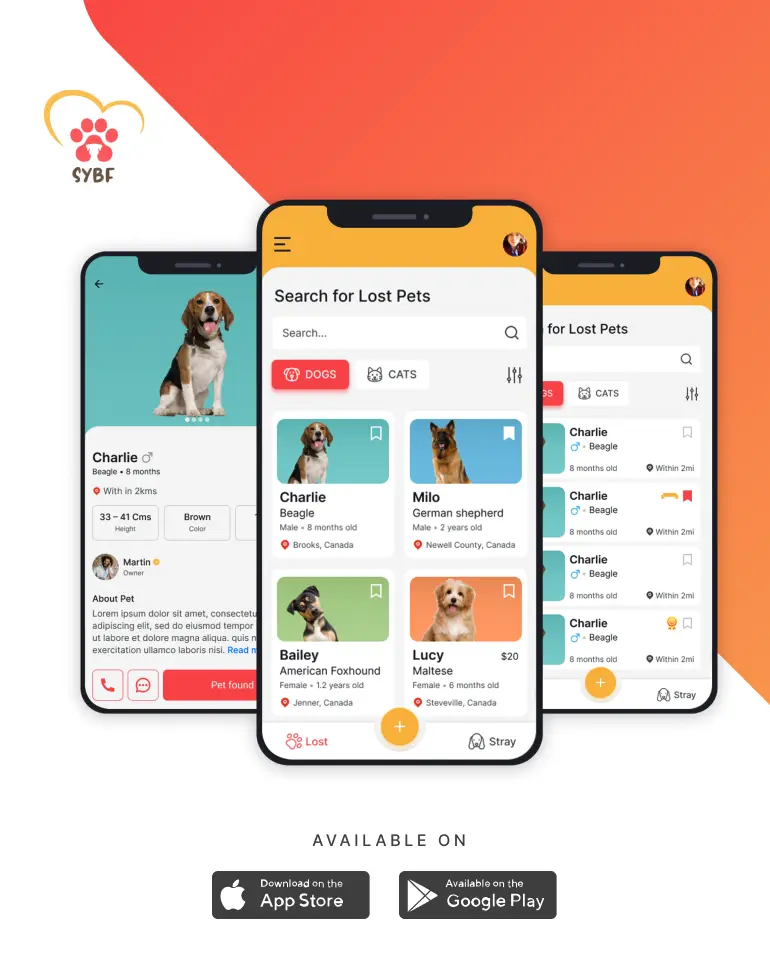 A lost-pet report and a found-pet sighting side by side, with AI linking matching features and flagging a possible match